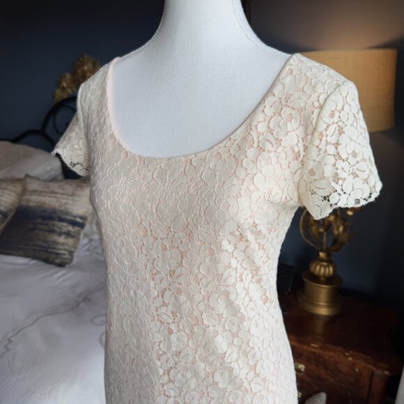 Talula Oji Cream Blush Lace Mini Dress Aritzia - Picture 4 of 7